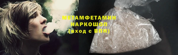 прущие грибы Волоколамск