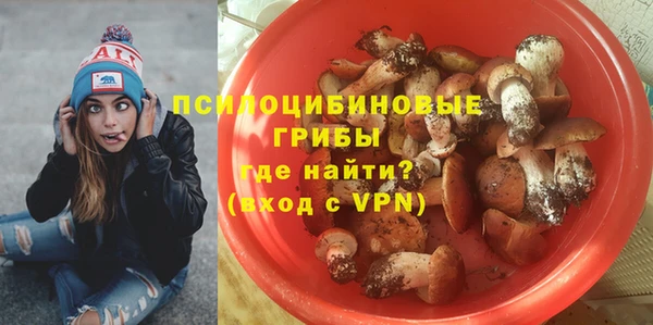 шишки Алексеевка