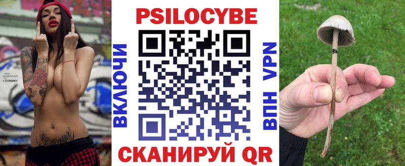 цены наркотик  Могоча  Галлюциногенные грибы мицелий 